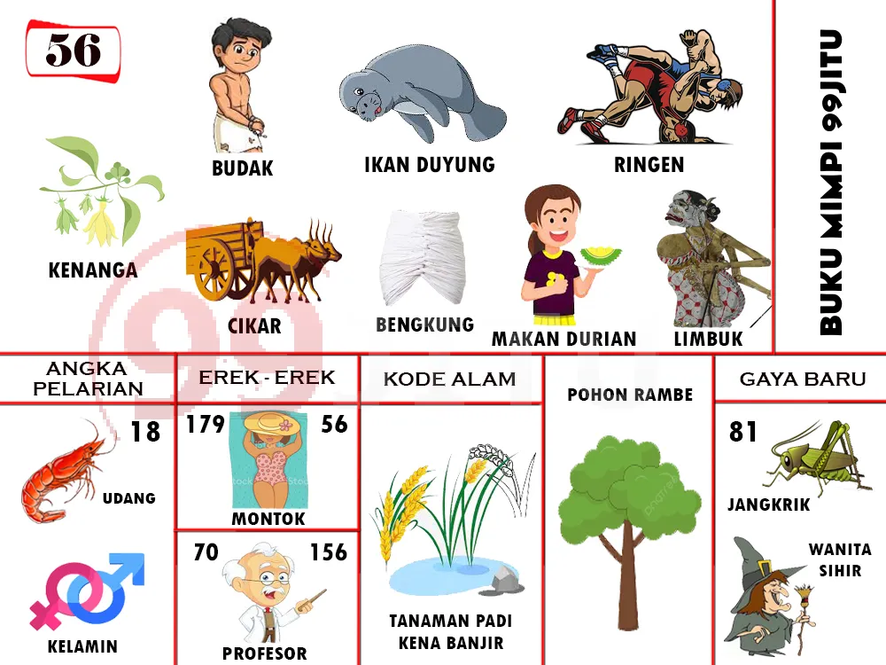buku mimpi erek erek togel 56